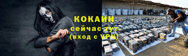 шишки Армянск