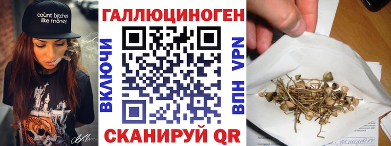 Псилоцибиновые грибы Magic Shrooms  OMG зеркало  Протвино 